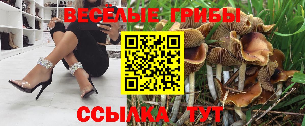 Псилоцибиновые грибы Psilocybine cubensis  Псилоцибиновые грибы Psilocybe  Качканар  даркнет сайт  Вход с VPN 