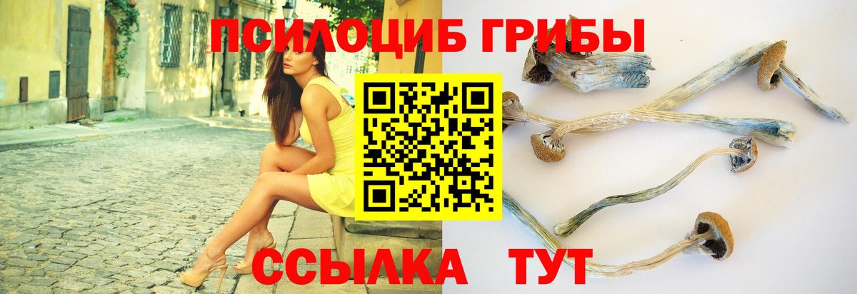 Псилоцибиновые грибы прущие грибы Качканар